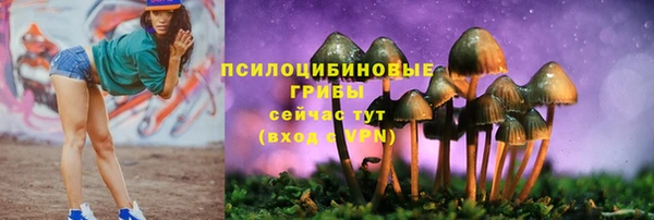 MDMA Premium VHQ Богородск