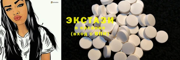 ECSTASY Богданович